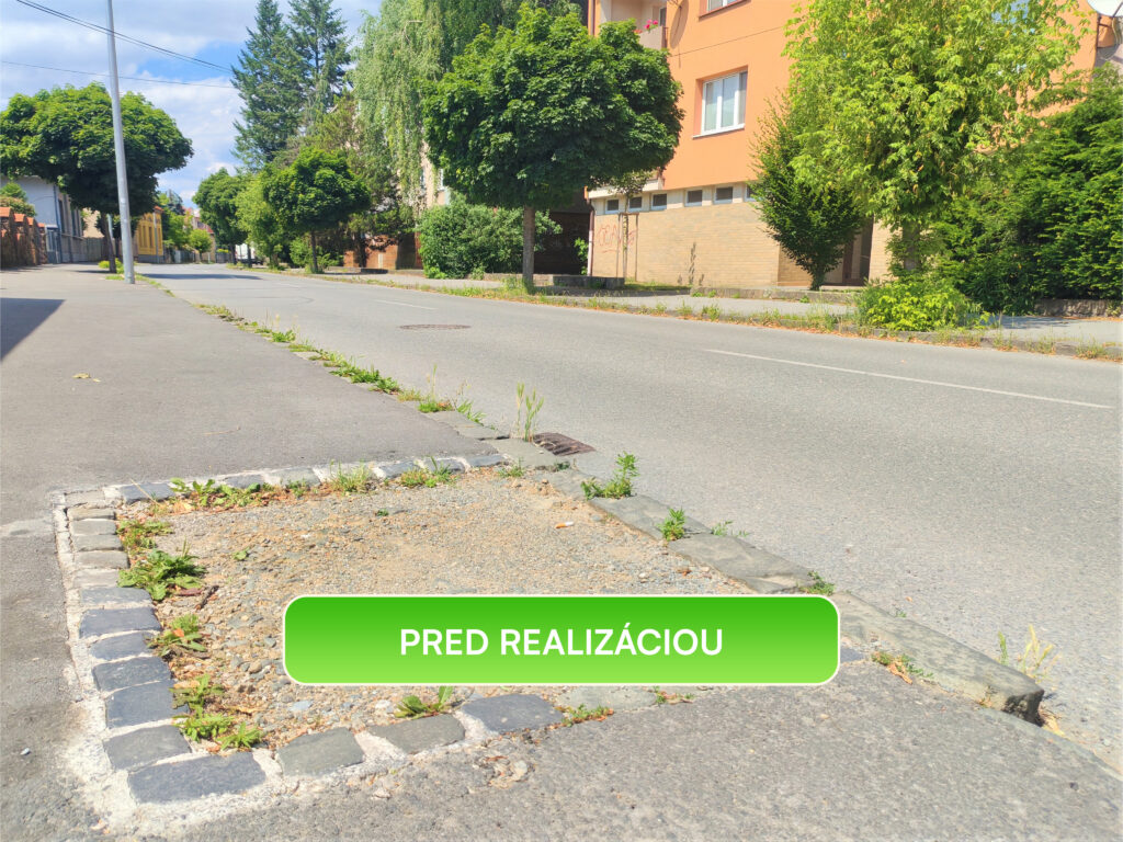 Stromoradie na Záhradnej ulici v Prešove – pred revitalizáciou