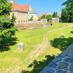 Pohľad z diaľky na Záhradu umenia – pred revitalizáciou